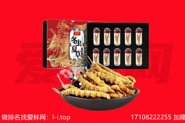 黑河市孙吴回收虫草.jpg